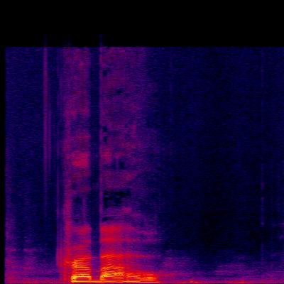 Spectrogram
