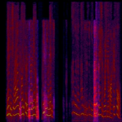 Spectrogram