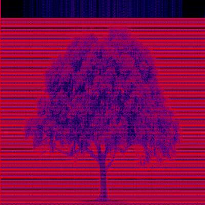 Spectrogram