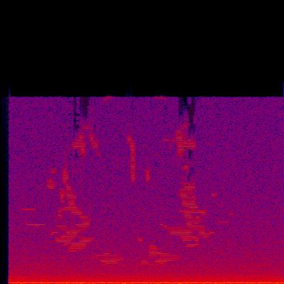 Spectrogram