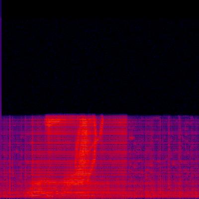 Spectrogram