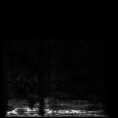 Spectrogram