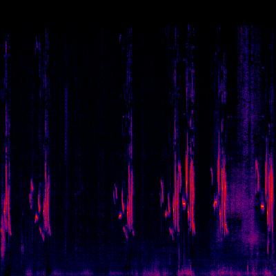 Spectrogram