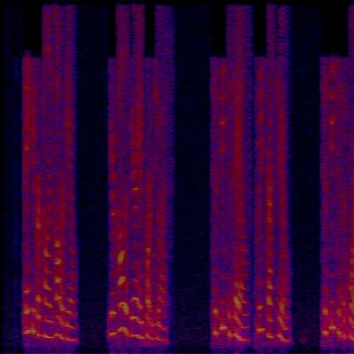 Spectrogram