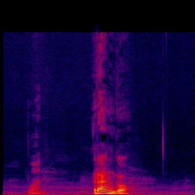 Spectrogram