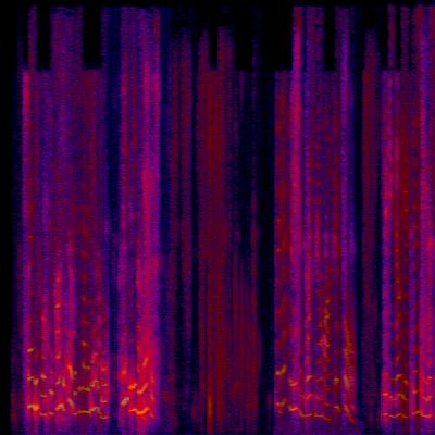Spectrogram