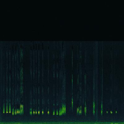 Spectrogram