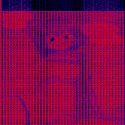 Spectrogram
