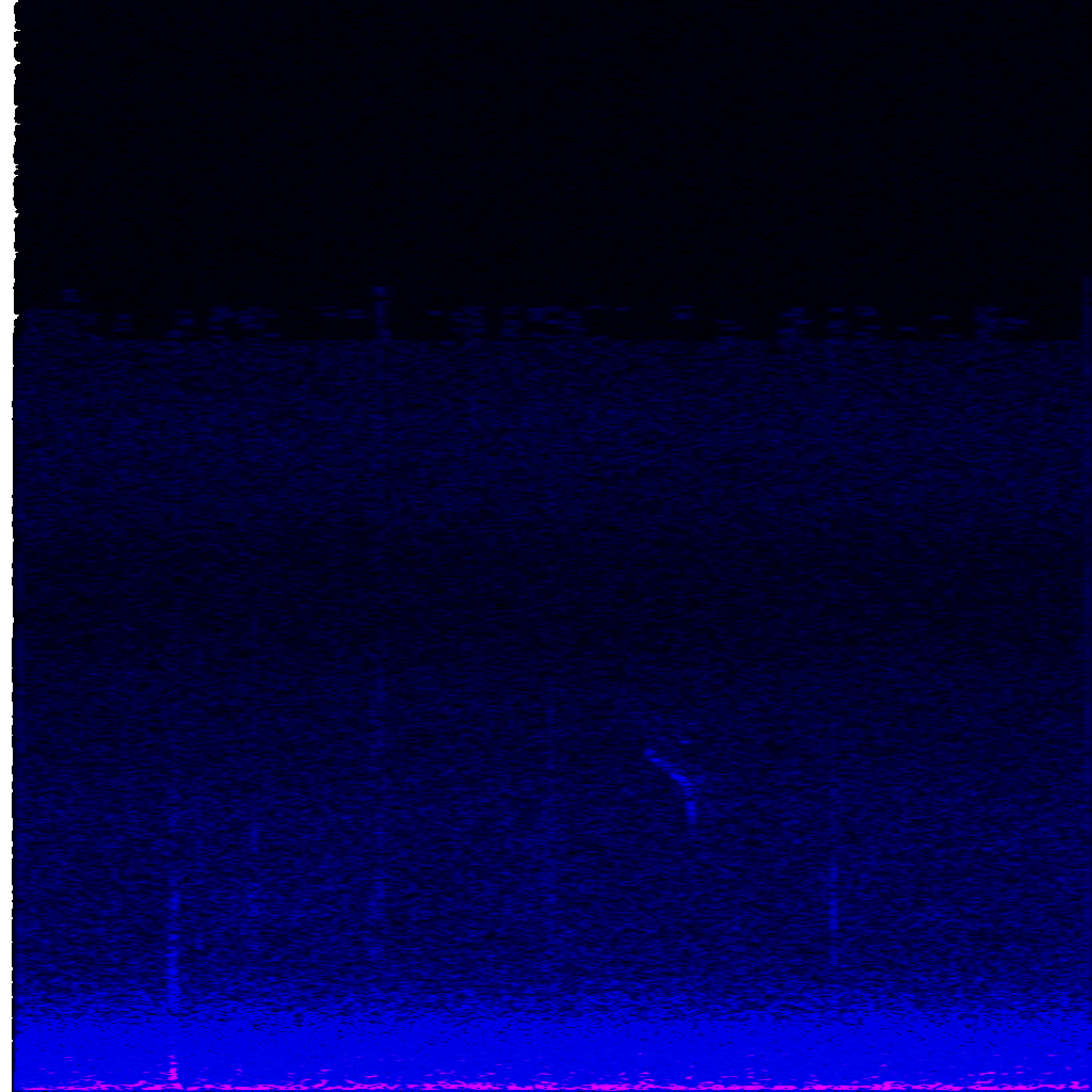 Spectrogram