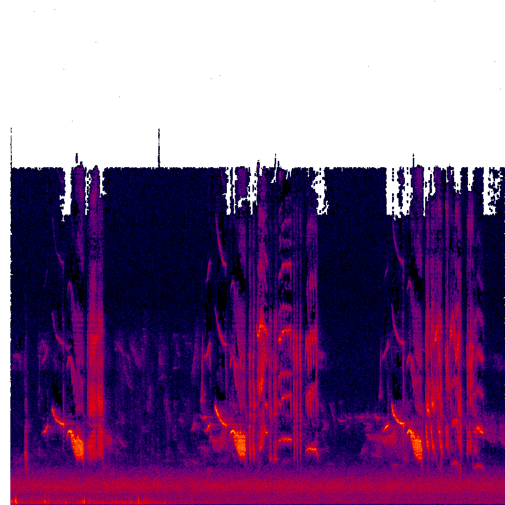 Spectrogram