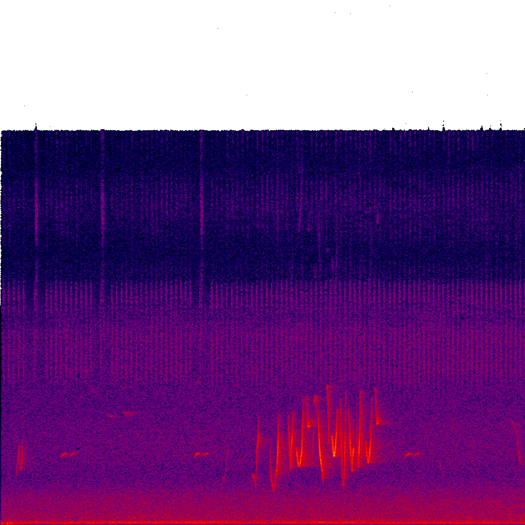 Spectrogram