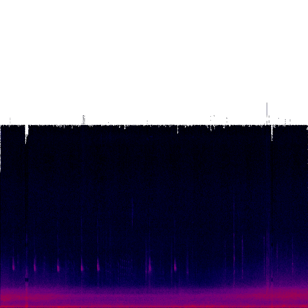 Spectrogram
