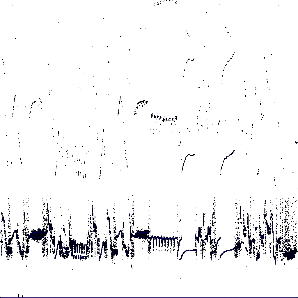 Spectrogram